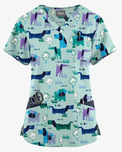 Fun Scrubs Meeting in the Park